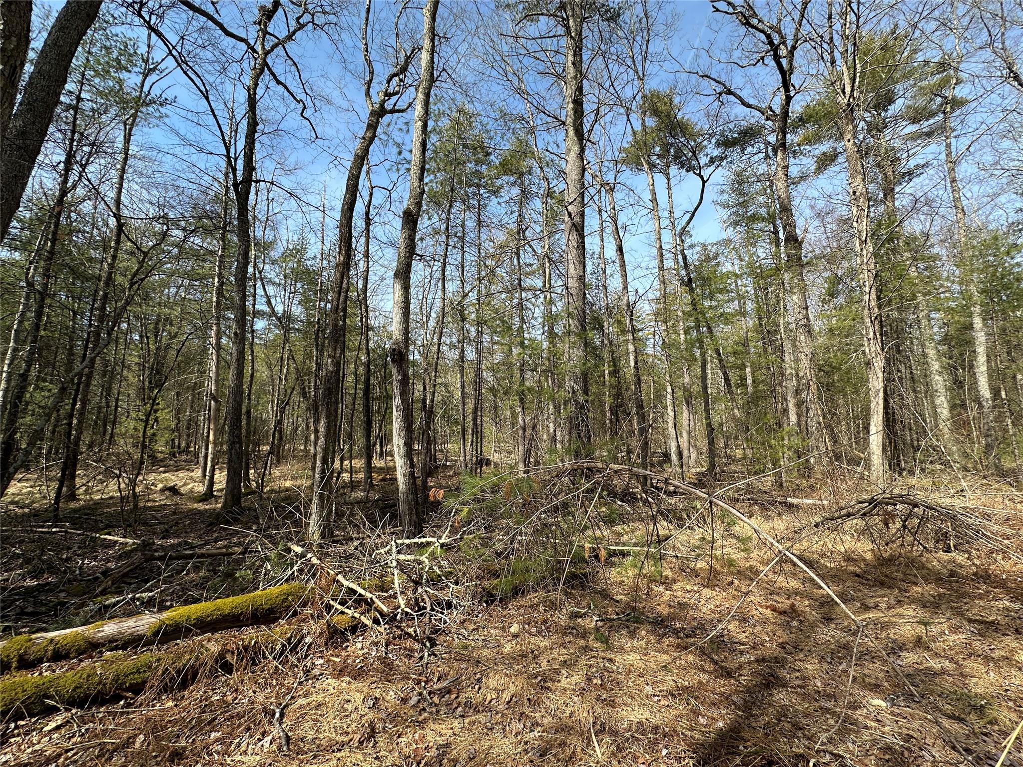 Lot 46 Summit Drive, Highland, New York image 10