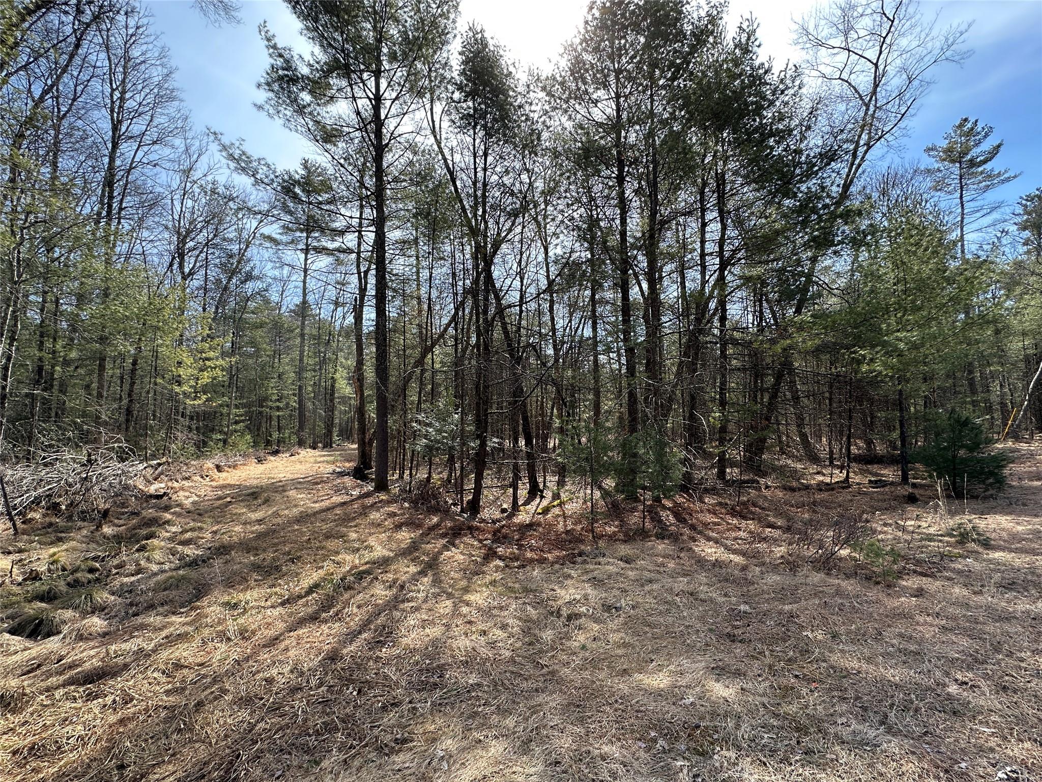 Lot 46 Summit Drive, Highland, New York image 2