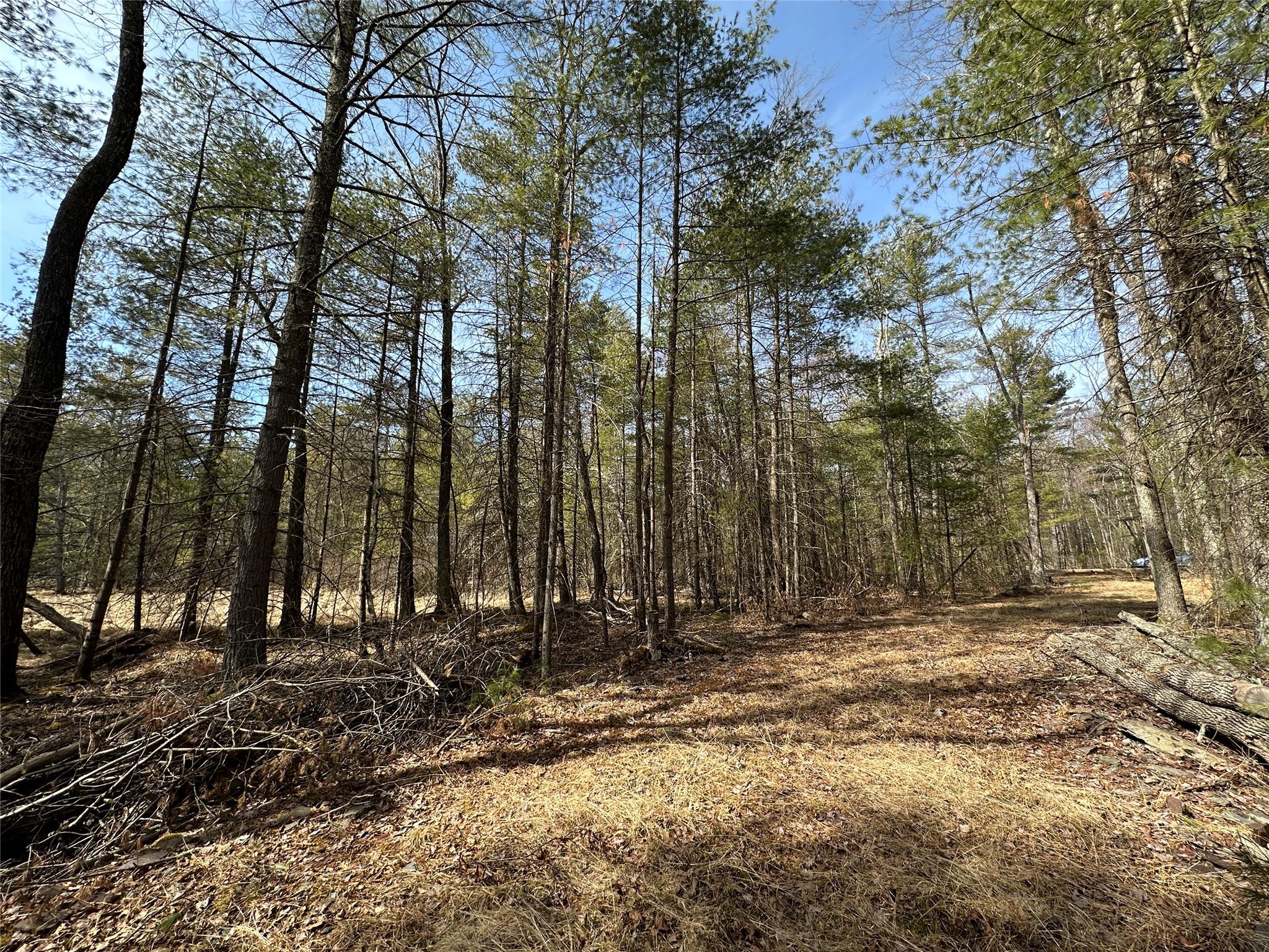 Lot 46 Summit Drive, Highland, New York image 5