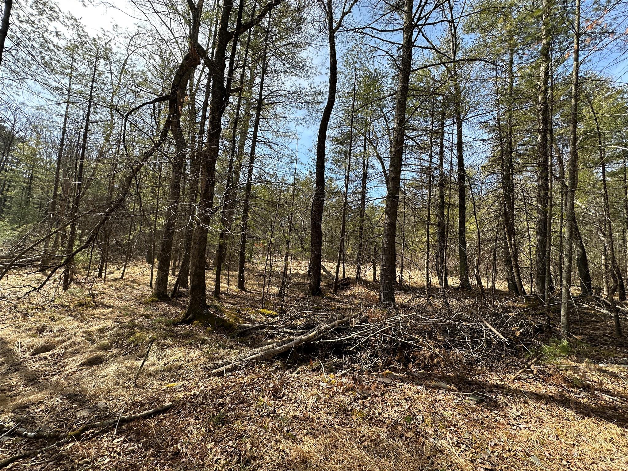 Lot 46 Summit Drive, Highland, New York image 6
