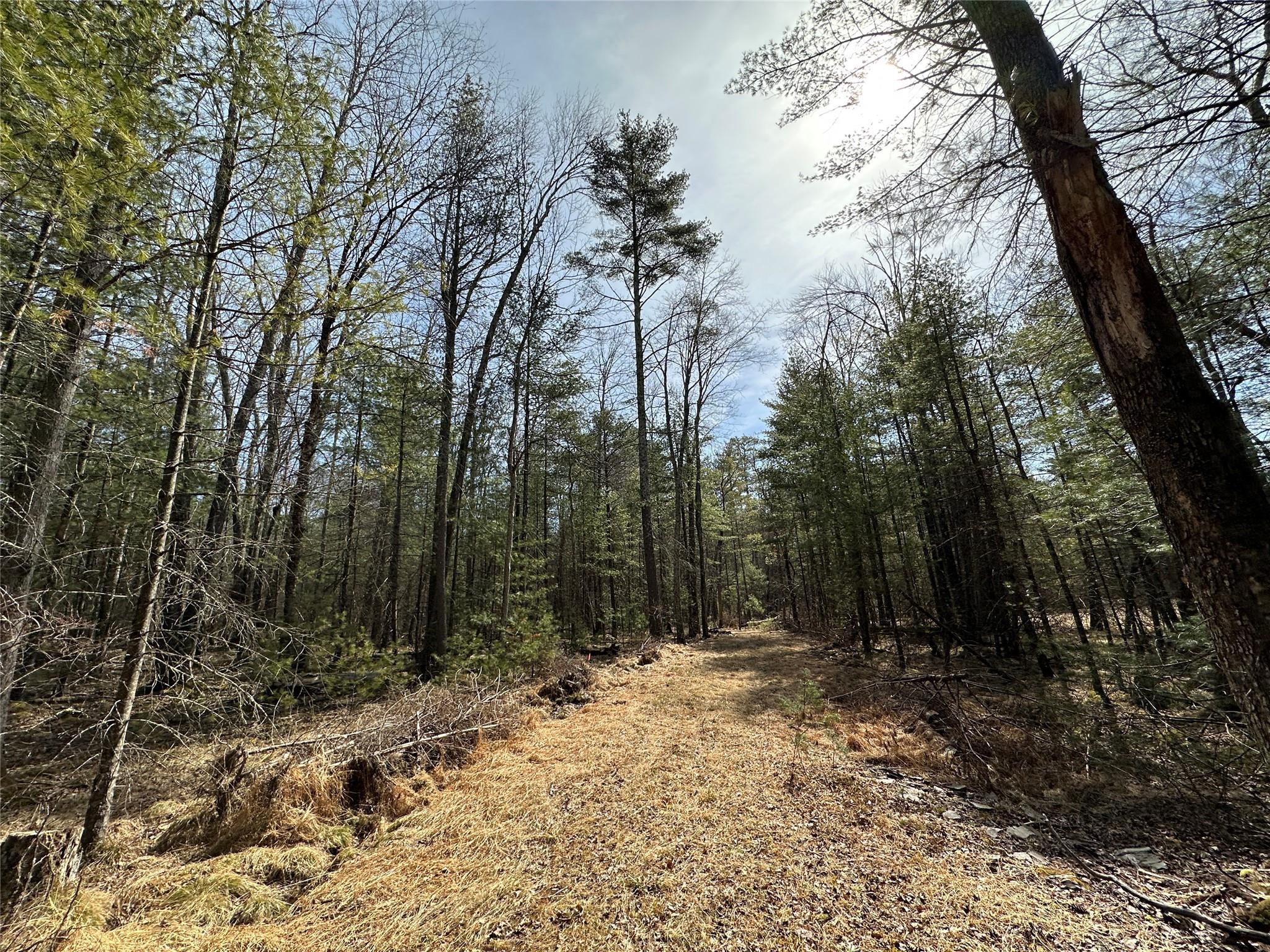 Lot 46 Summit Drive, Highland, New York image 4
