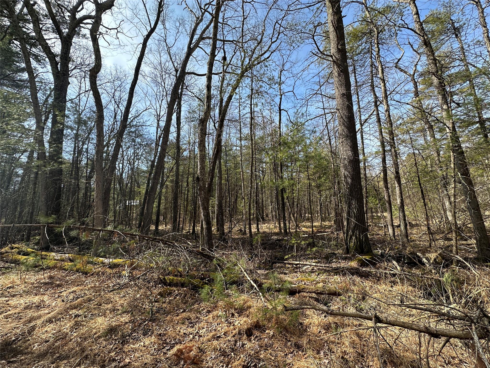 Lot 46 Summit Drive, Highland, New York image 9