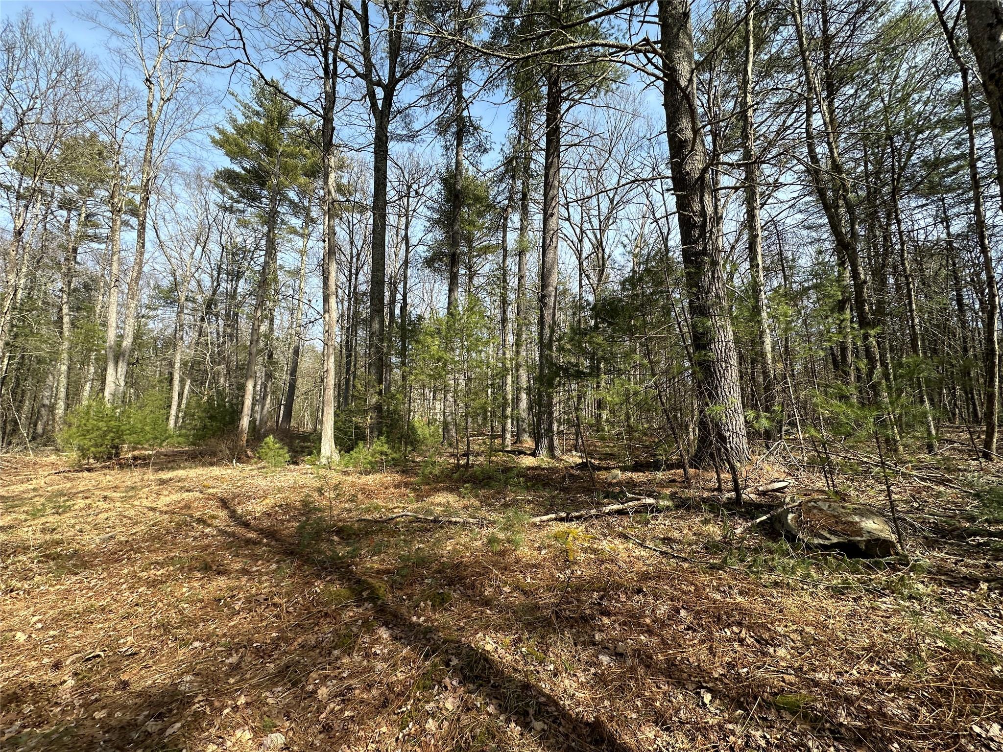 Lot 46 Summit Drive, Highland, New York image 13