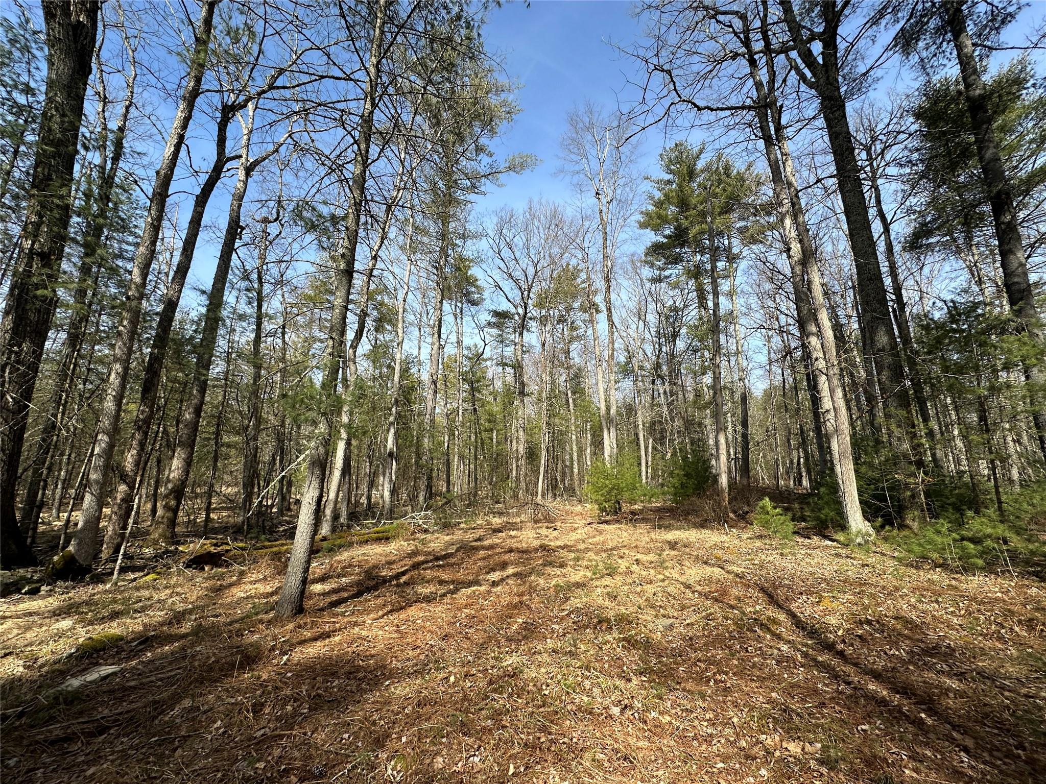 Lot 46 Summit Drive, Highland, New York image 14