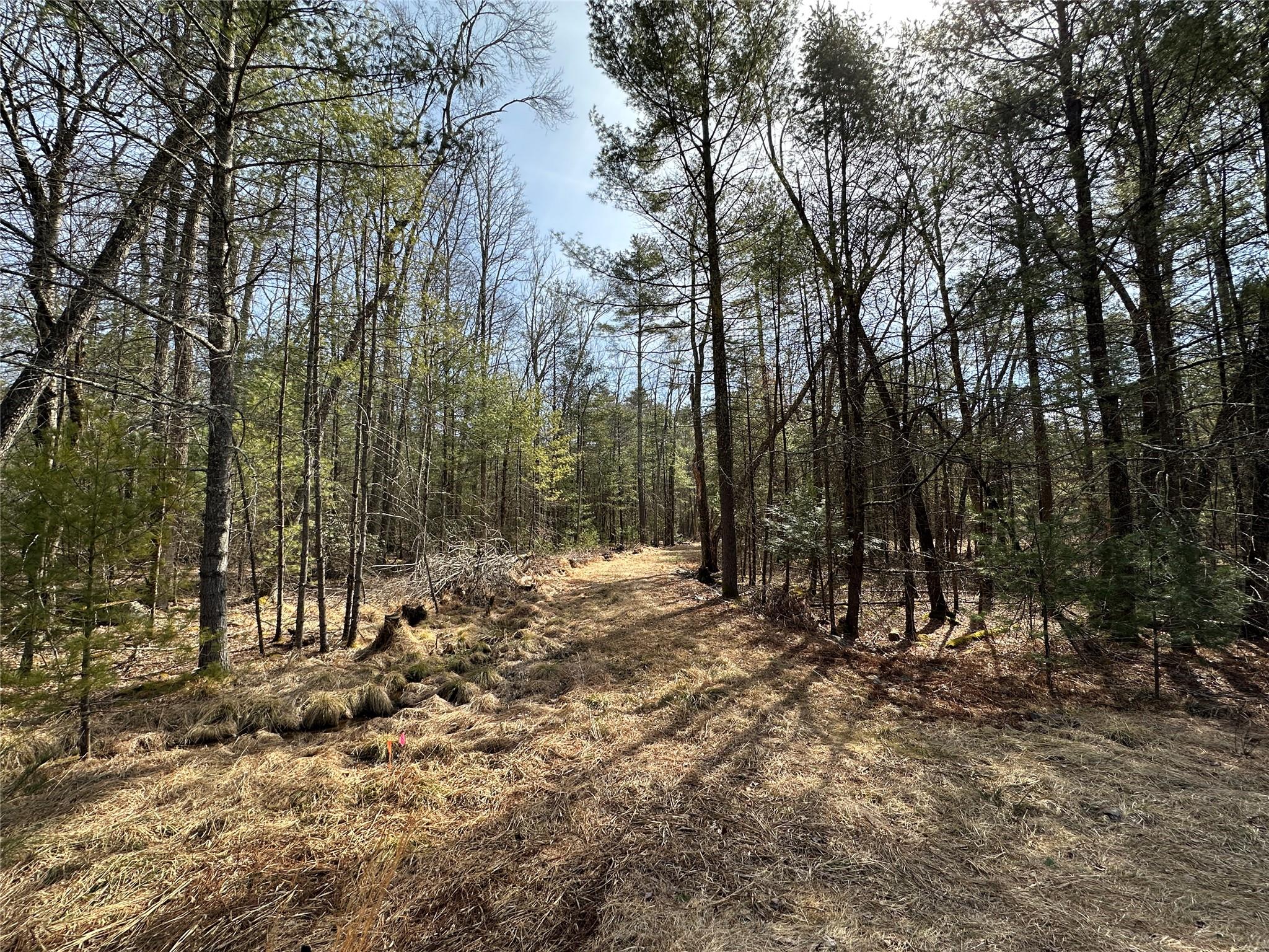 Lot 46 Summit Drive, Highland, New York image 3