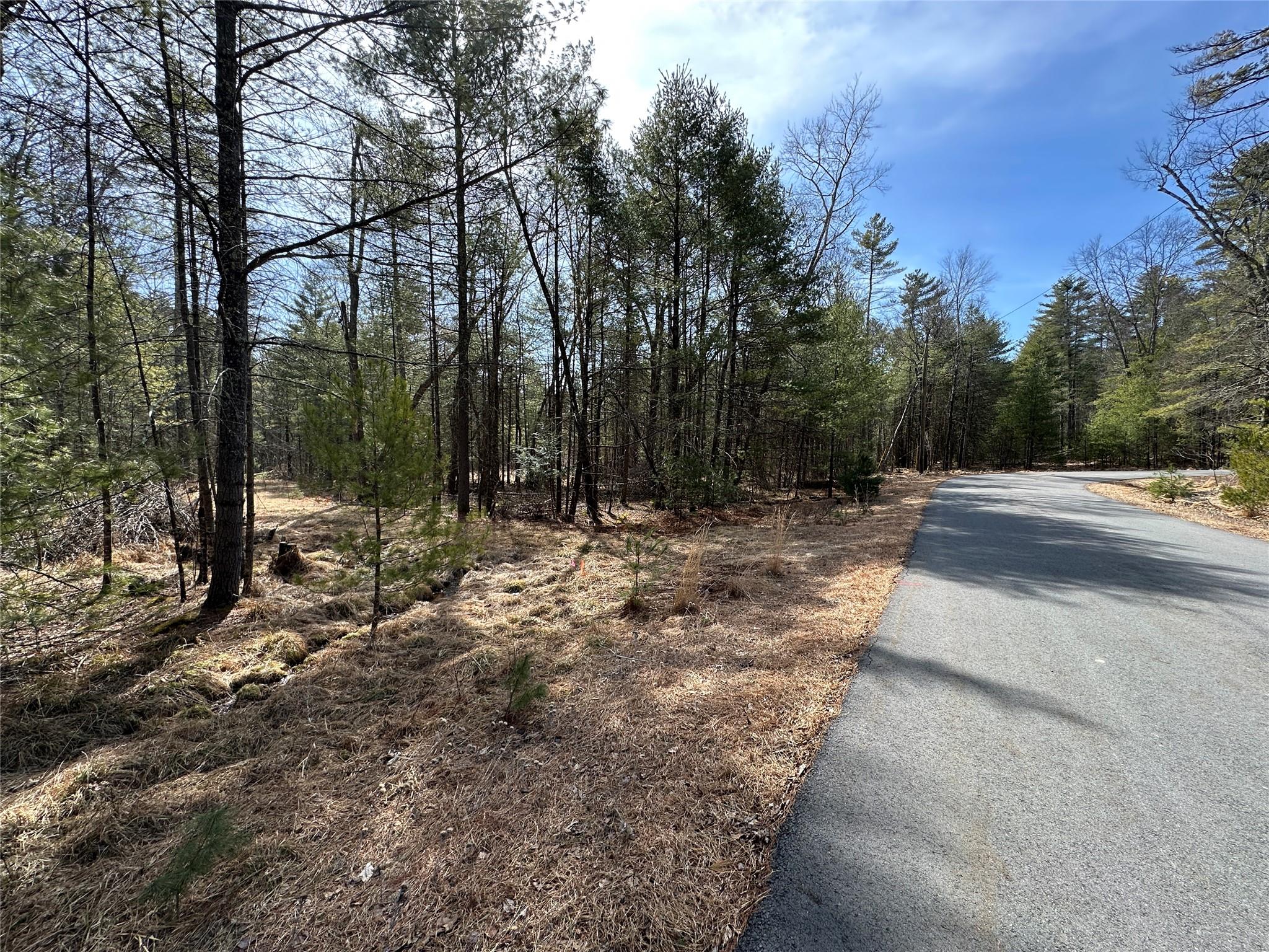 Lot 46 Summit Drive, Highland, New York image 1
