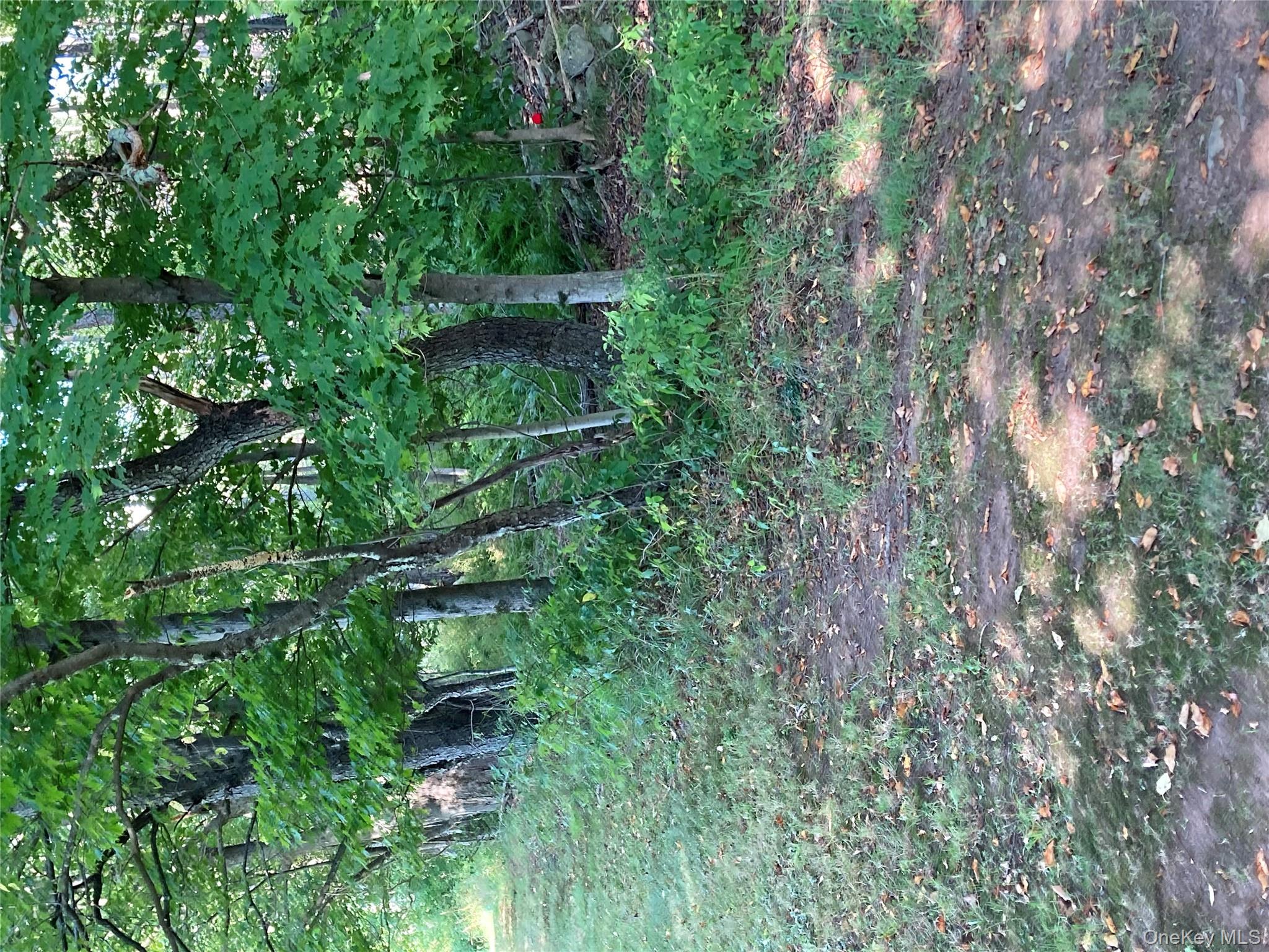 Ahrens Road Parksville New York 12768