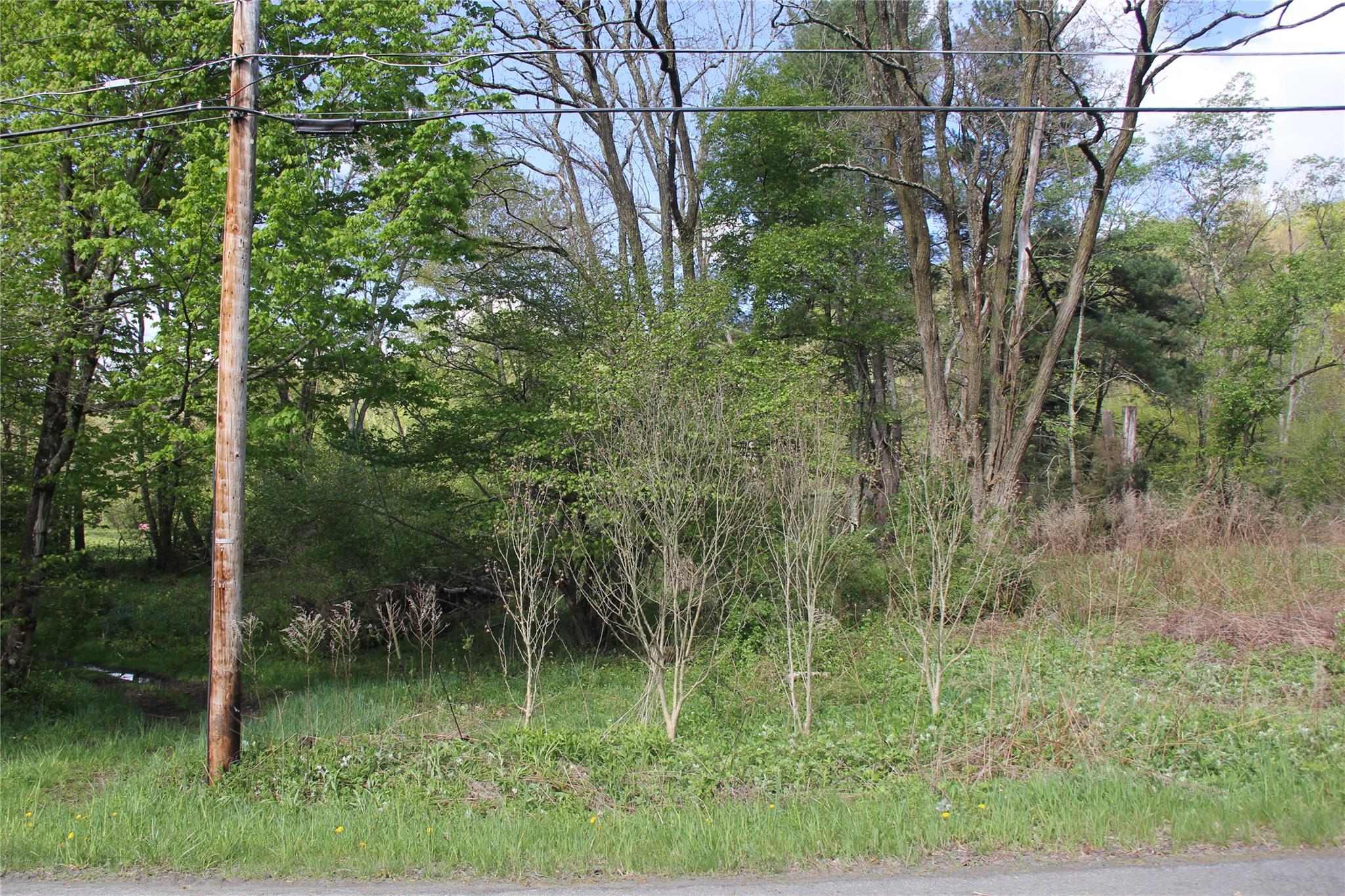 53 Menges Road, Livingston Manor, New York image 15