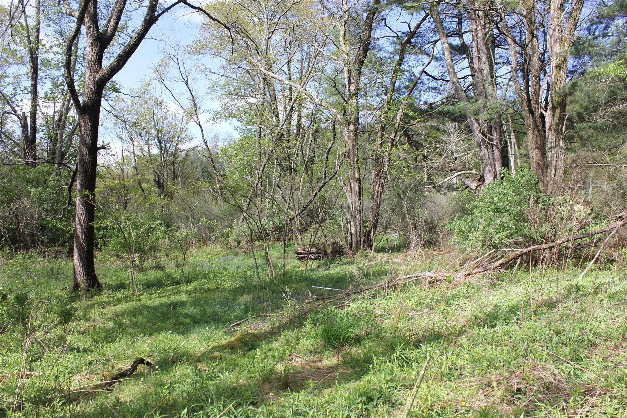 53 Menges Road, Livingston Manor, New York image 7