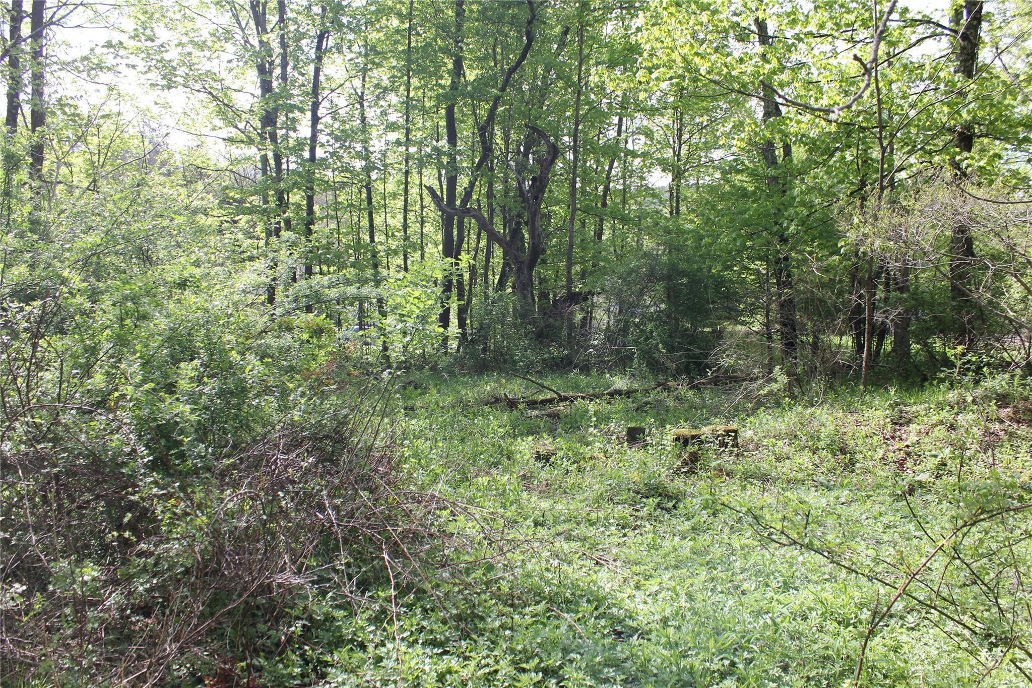 53 Menges Road, Livingston Manor, New York image 11