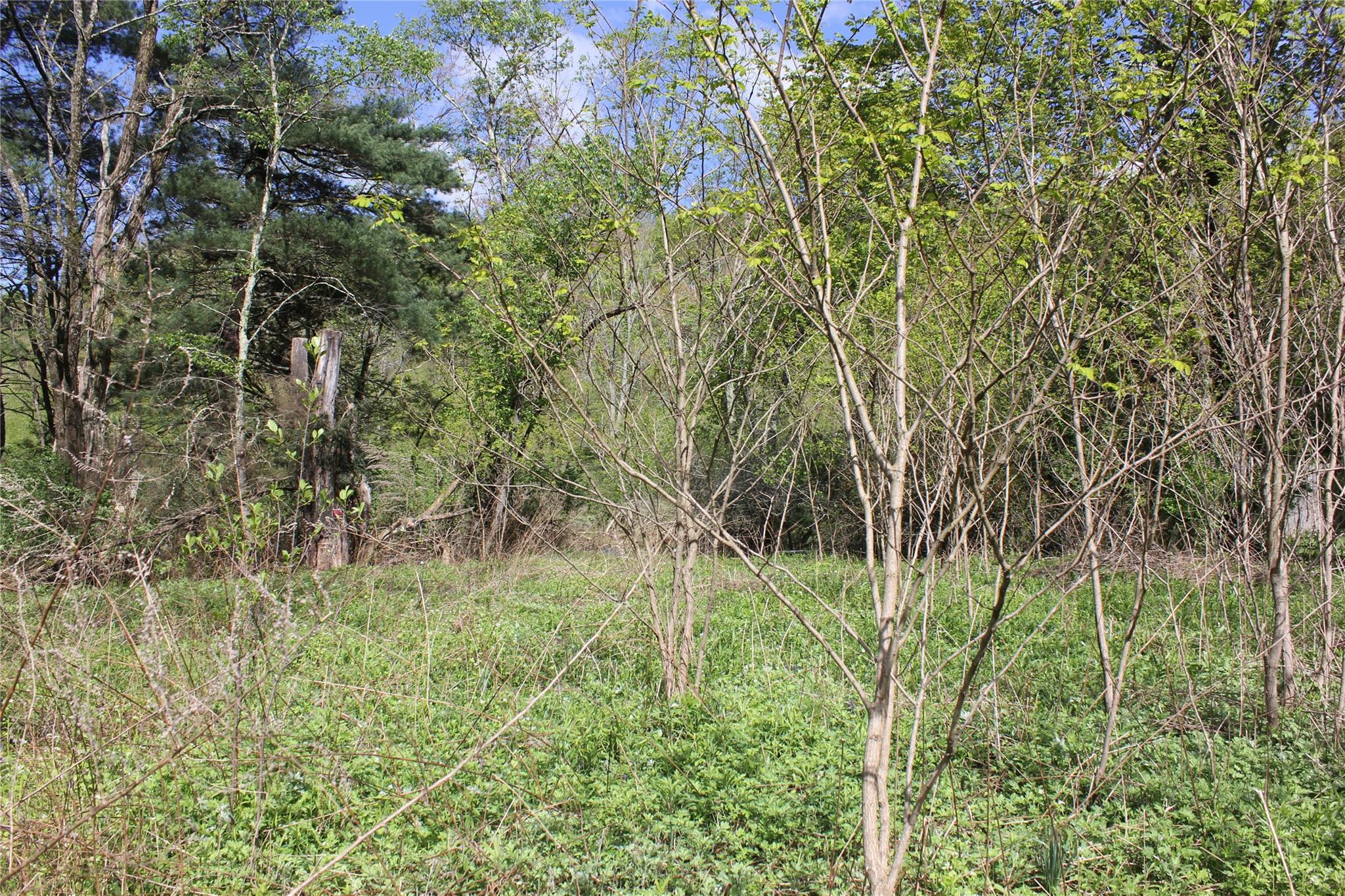 53 Menges Road, Livingston Manor, New York image 6