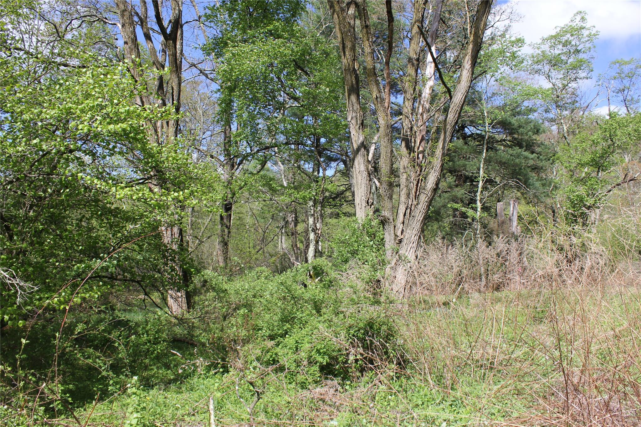 53 Menges Road, Livingston Manor, New York image 4