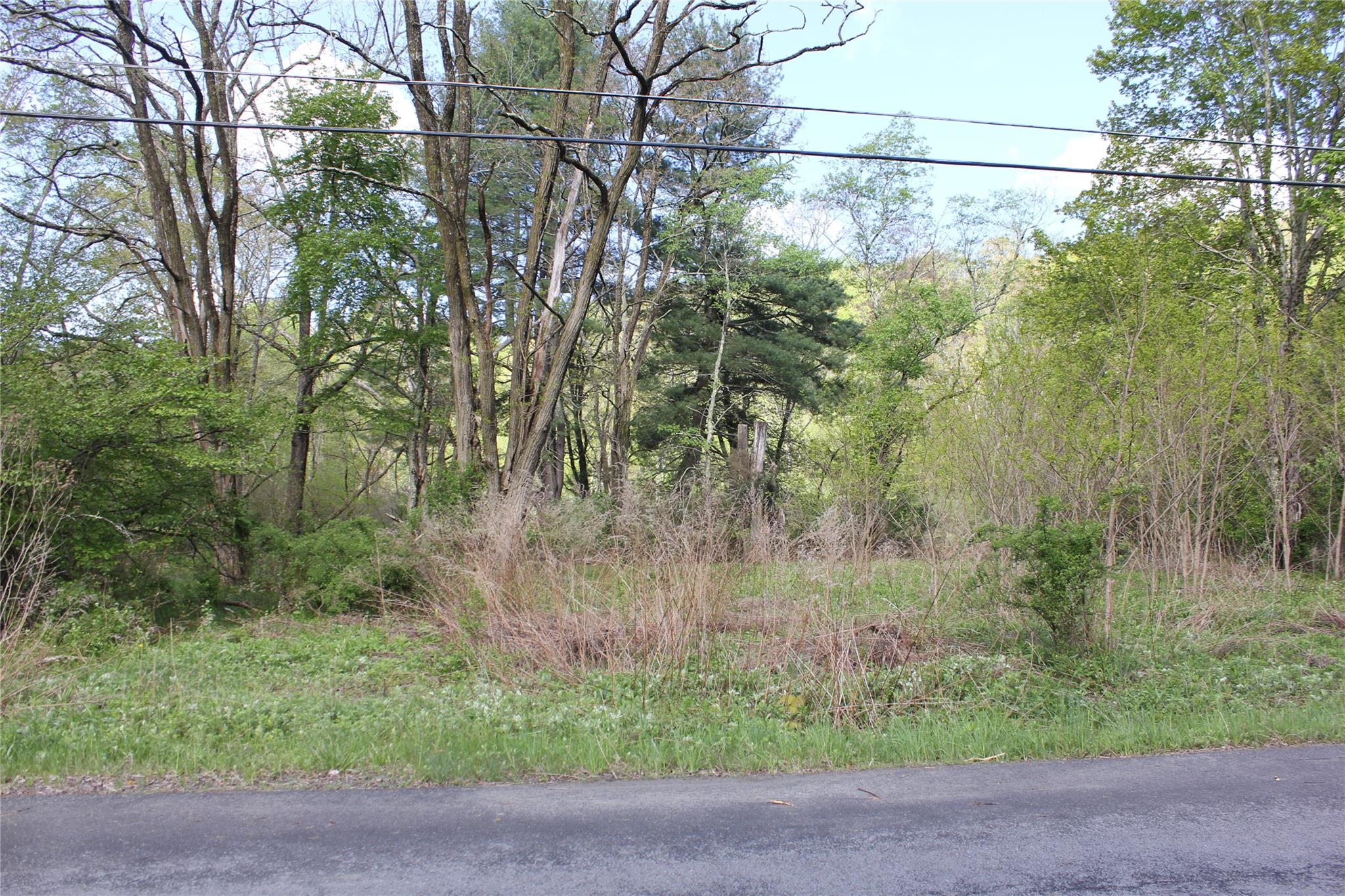 53 Menges Road, Livingston Manor, New York image 2