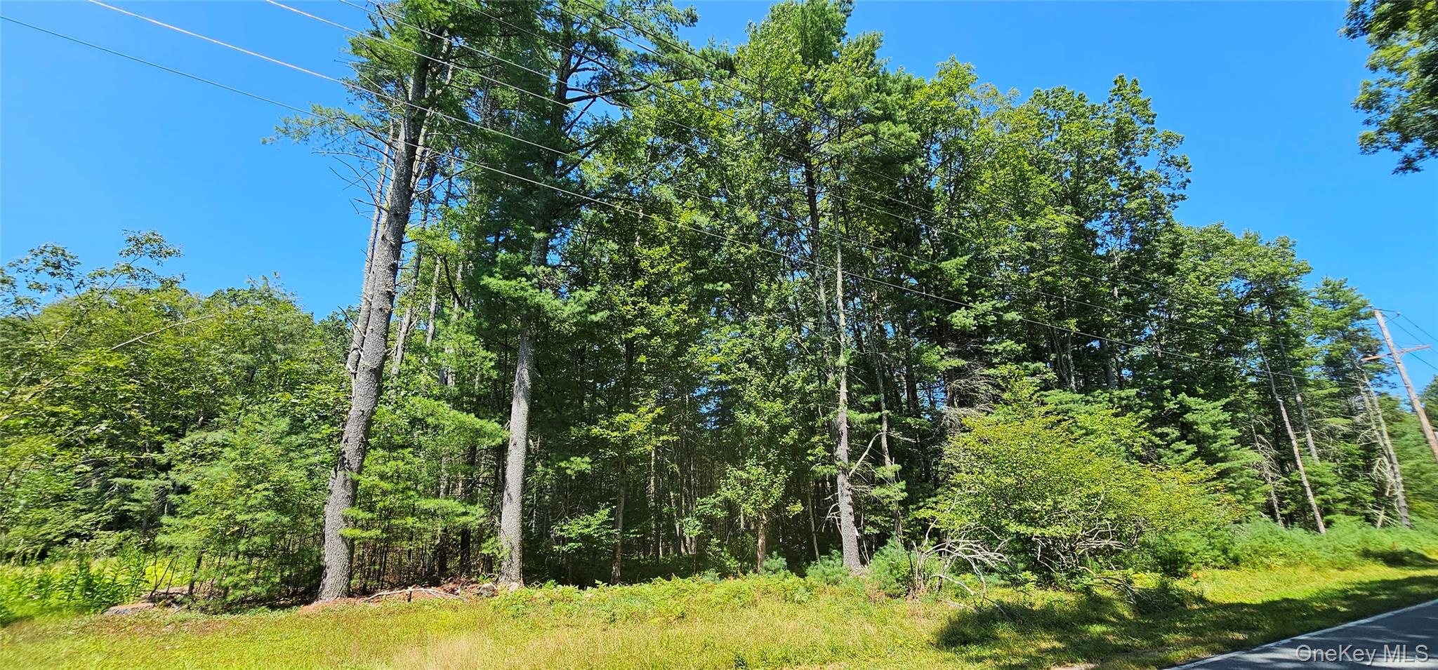 Lot 50 Deep Hollow Hill Road