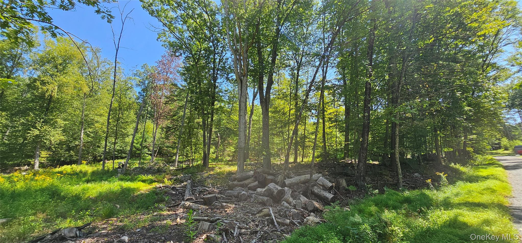 Lot 50 Deep Hollow Hill Road