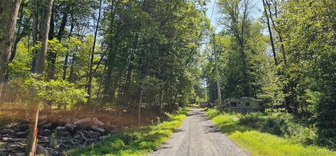 Vacant Land For Sale - LOT 50 Deep Hollow Hill Road<br/> Narrowsburg, NY 12764