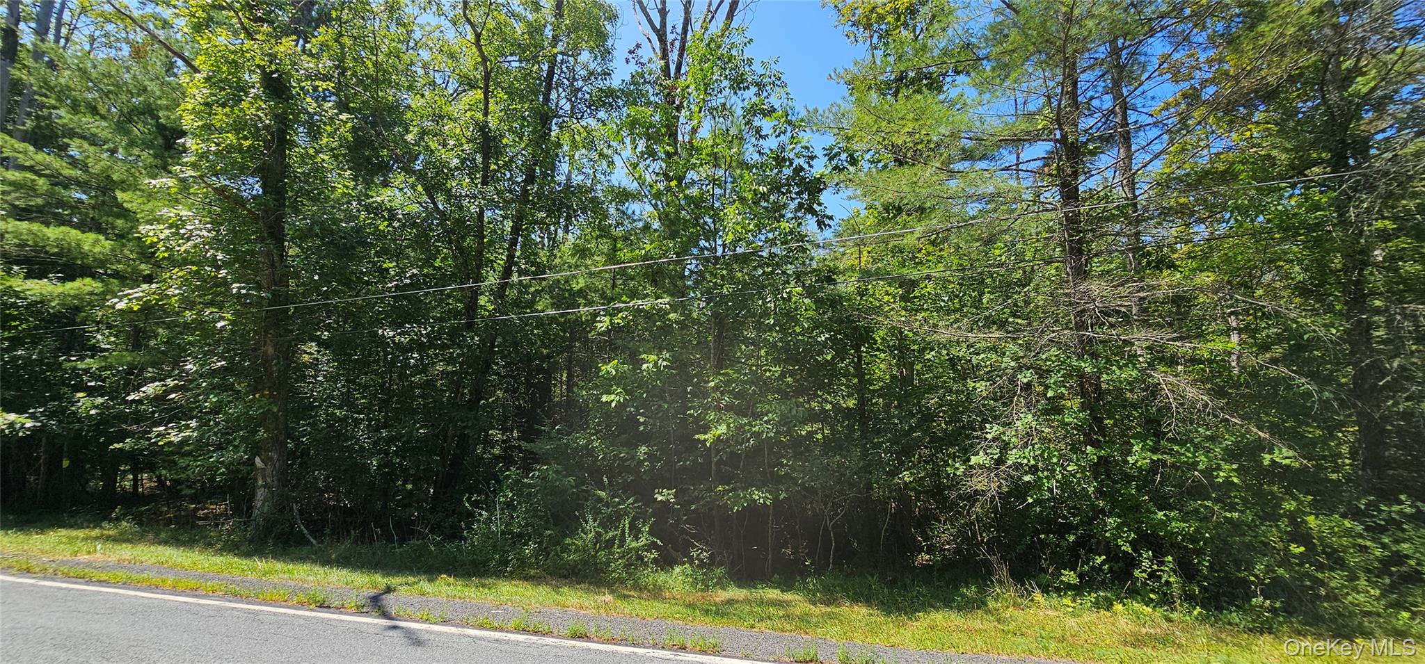 Lot 50 Deep Hollow Hill Road