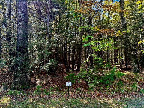 Vacant Land For Sale - 67 Falling Waters Drive<br/> Palenville, NY 12463