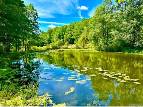 Vacant Land For Sale - 130 Dyker Road<br/> North Branch, NY 12766