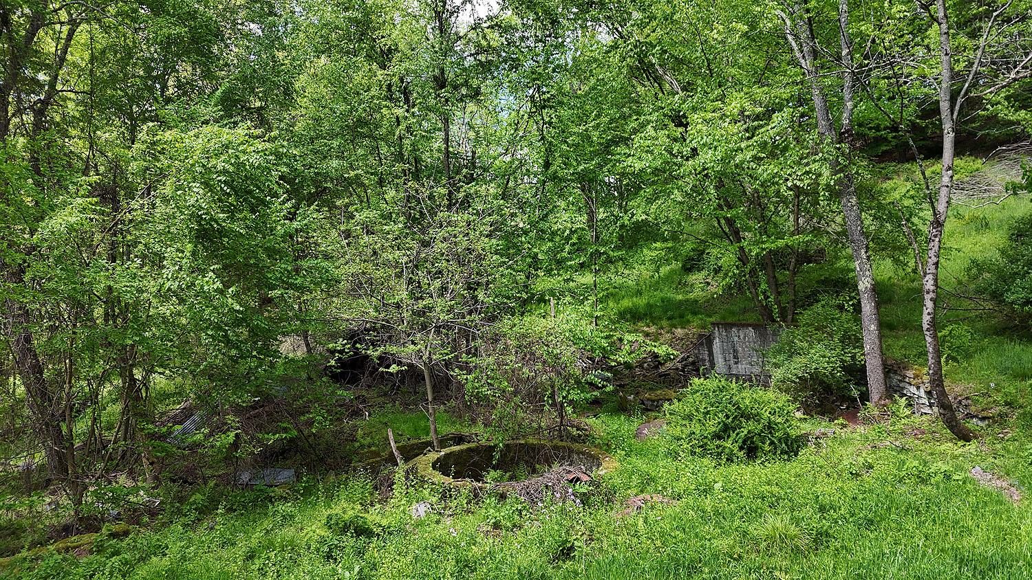12 Henderson Road, Hankins, New York image 28