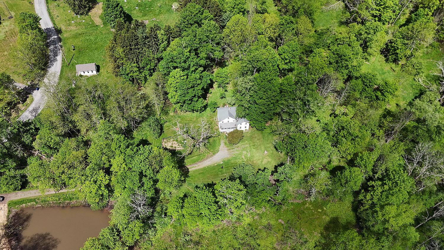 12 Henderson Road, Hankins, New York image 31