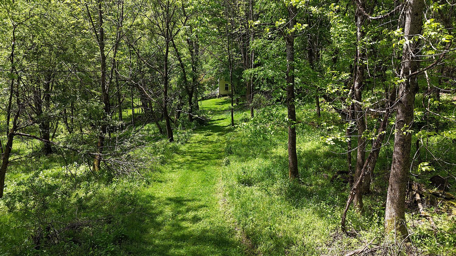 12 Henderson Road, Hankins, New York image 26