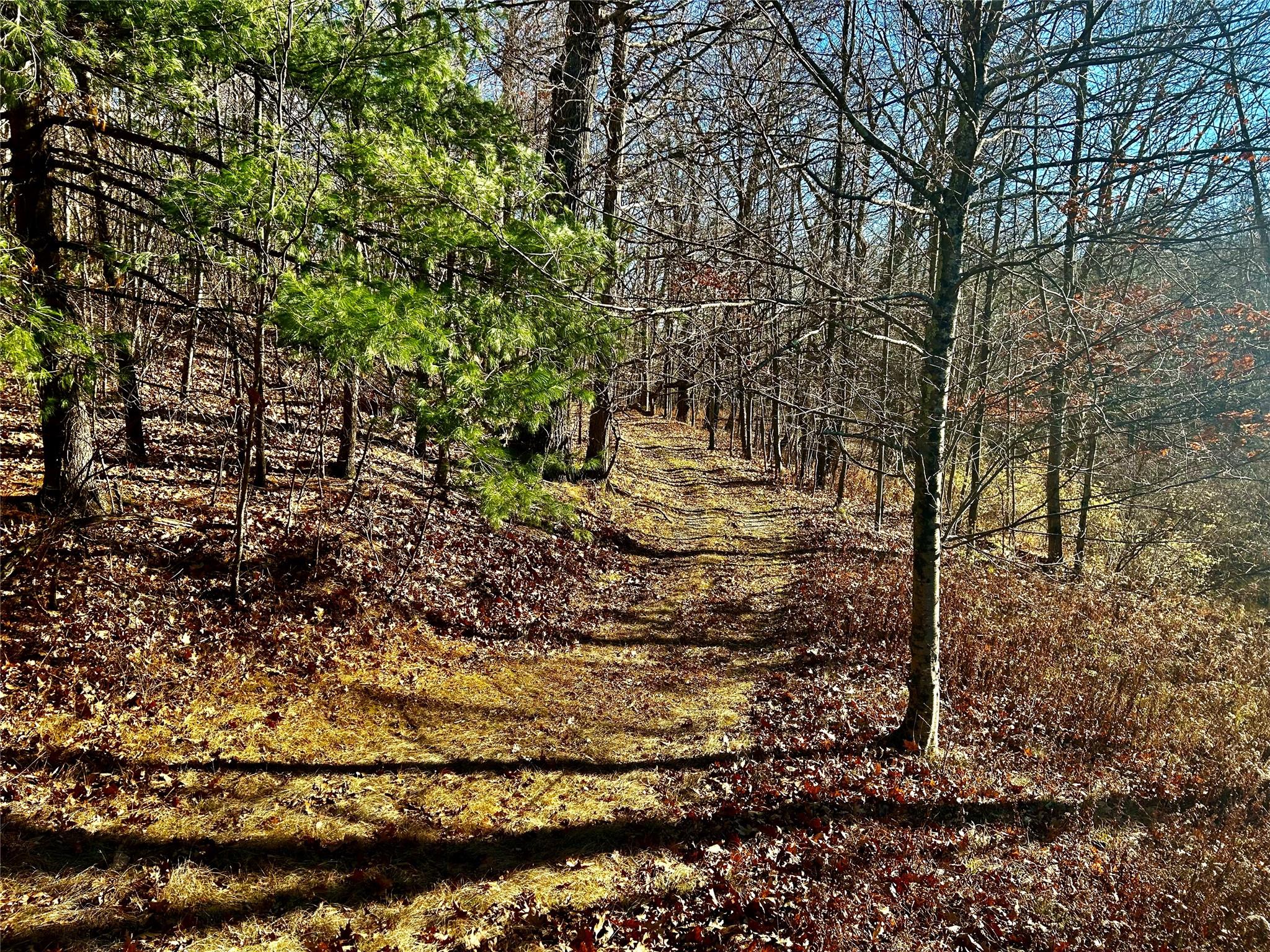 00 Dugway, Austerlitz, New York image 3