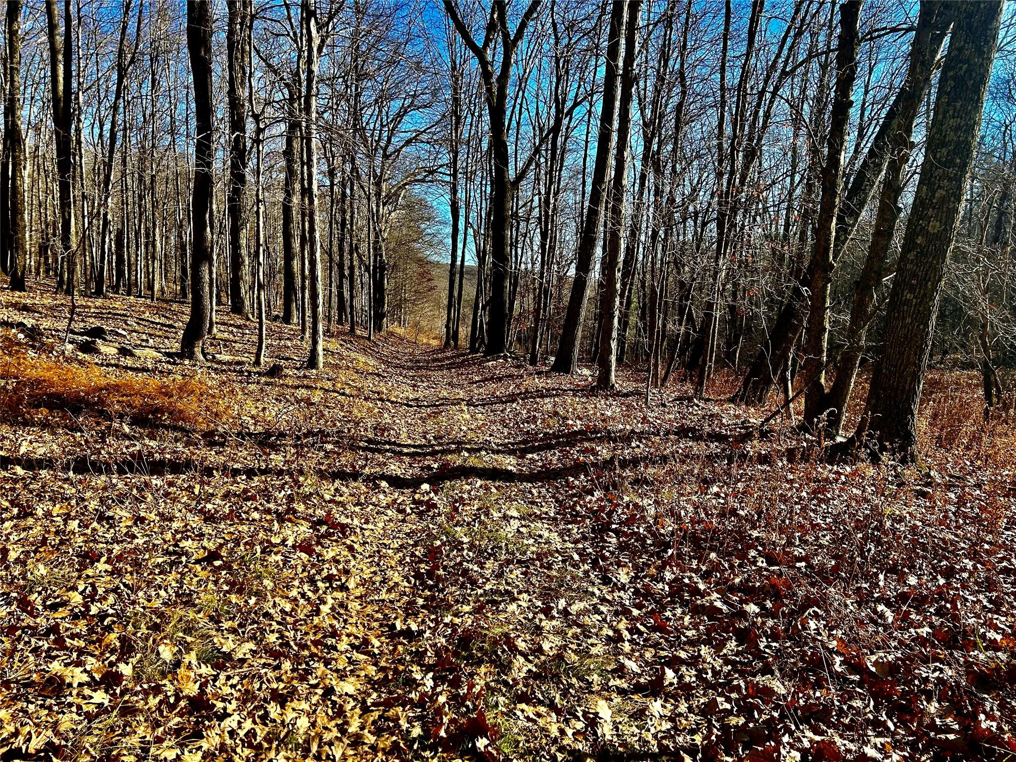 00 Dugway, Austerlitz, New York image 4