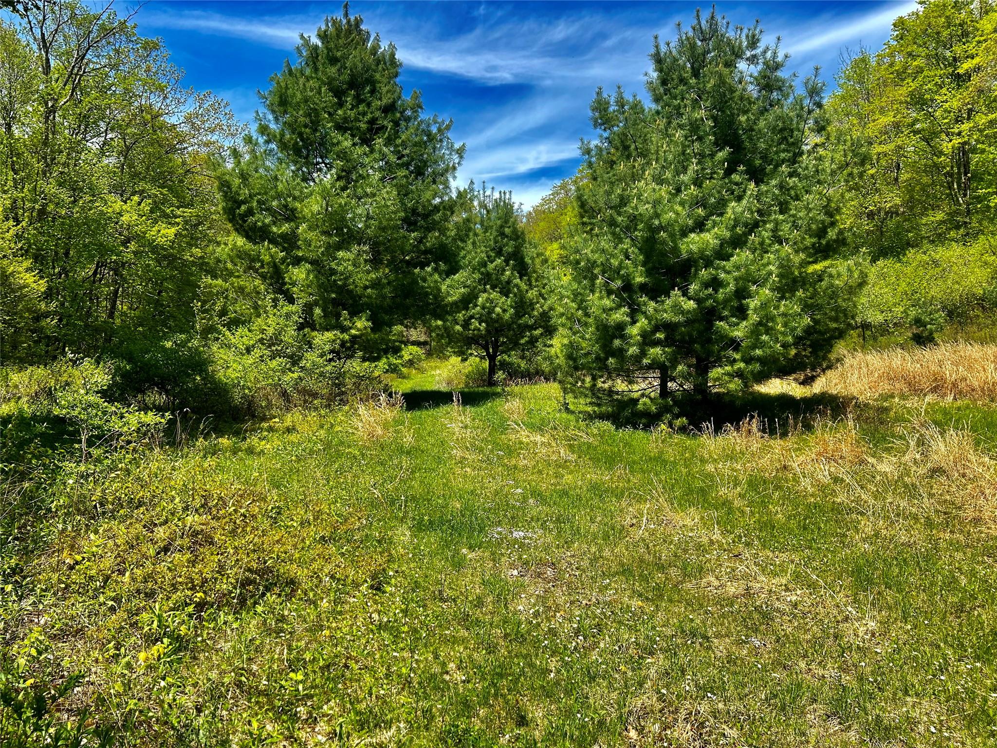 00 Dugway, Austerlitz, New York image 9
