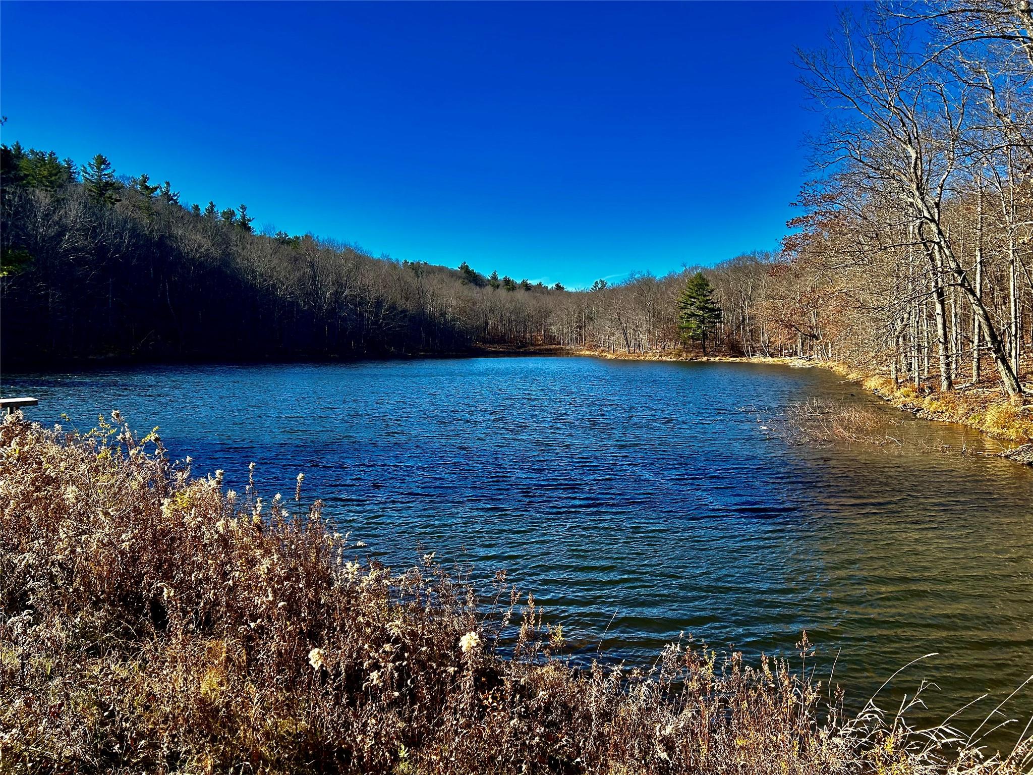 00 Dugway, Austerlitz, New York image 2