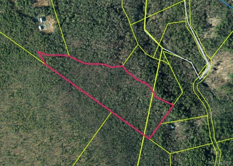 Vacant Land For Sale - Dewitt Road<br/> Rochester, NY 12461