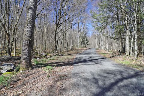 Photo of Bethlehem Road, Callicoon Center, NY 12724 (MLS # 987885)