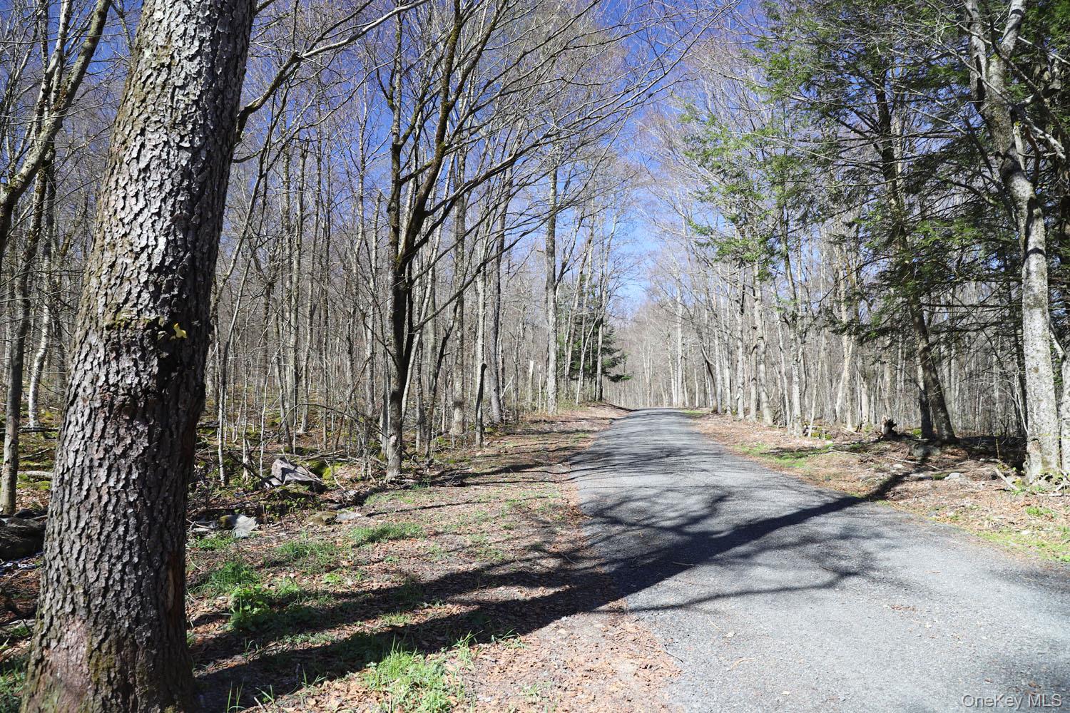 Bethlehem Road