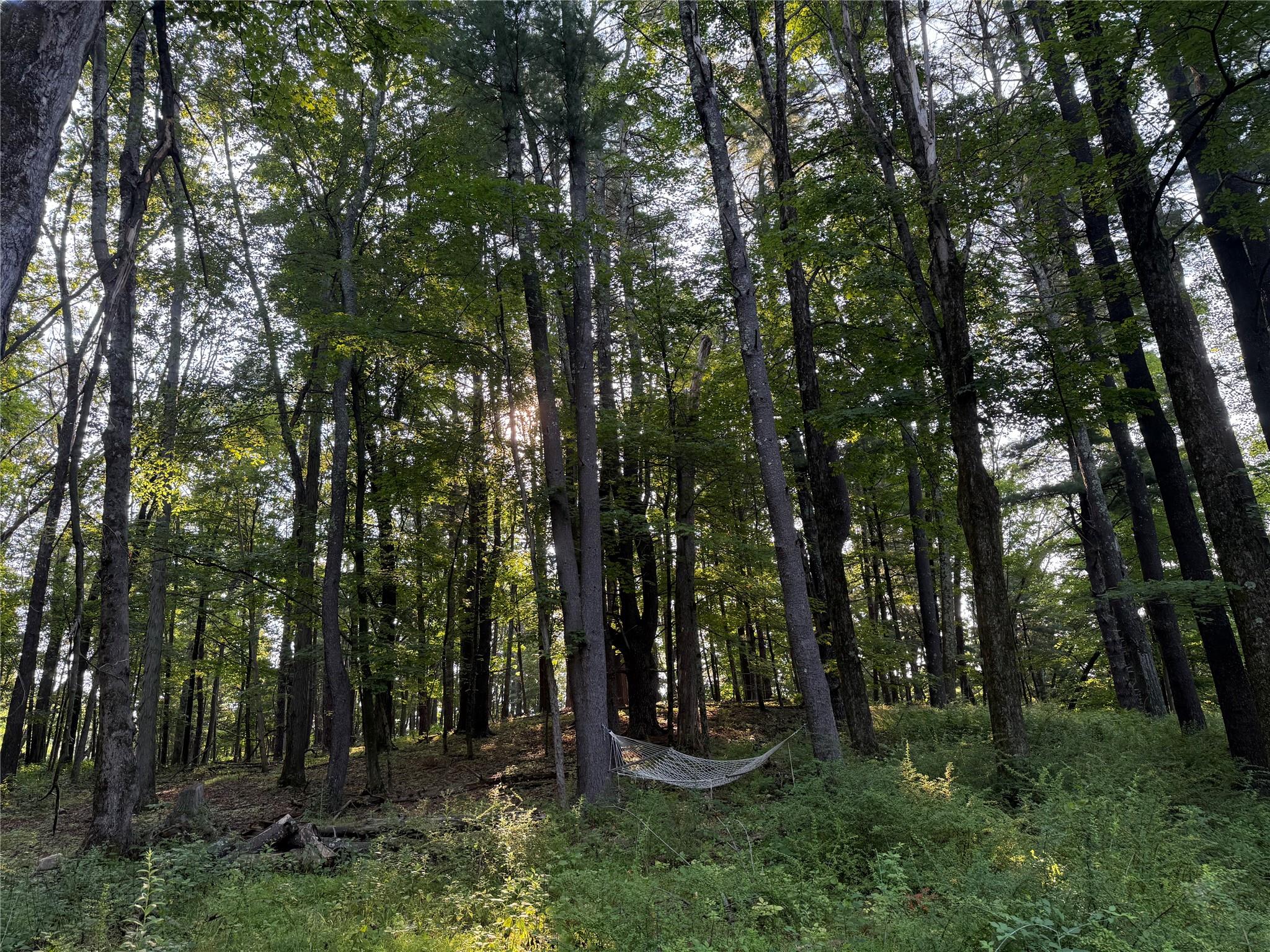 393 County Route 2