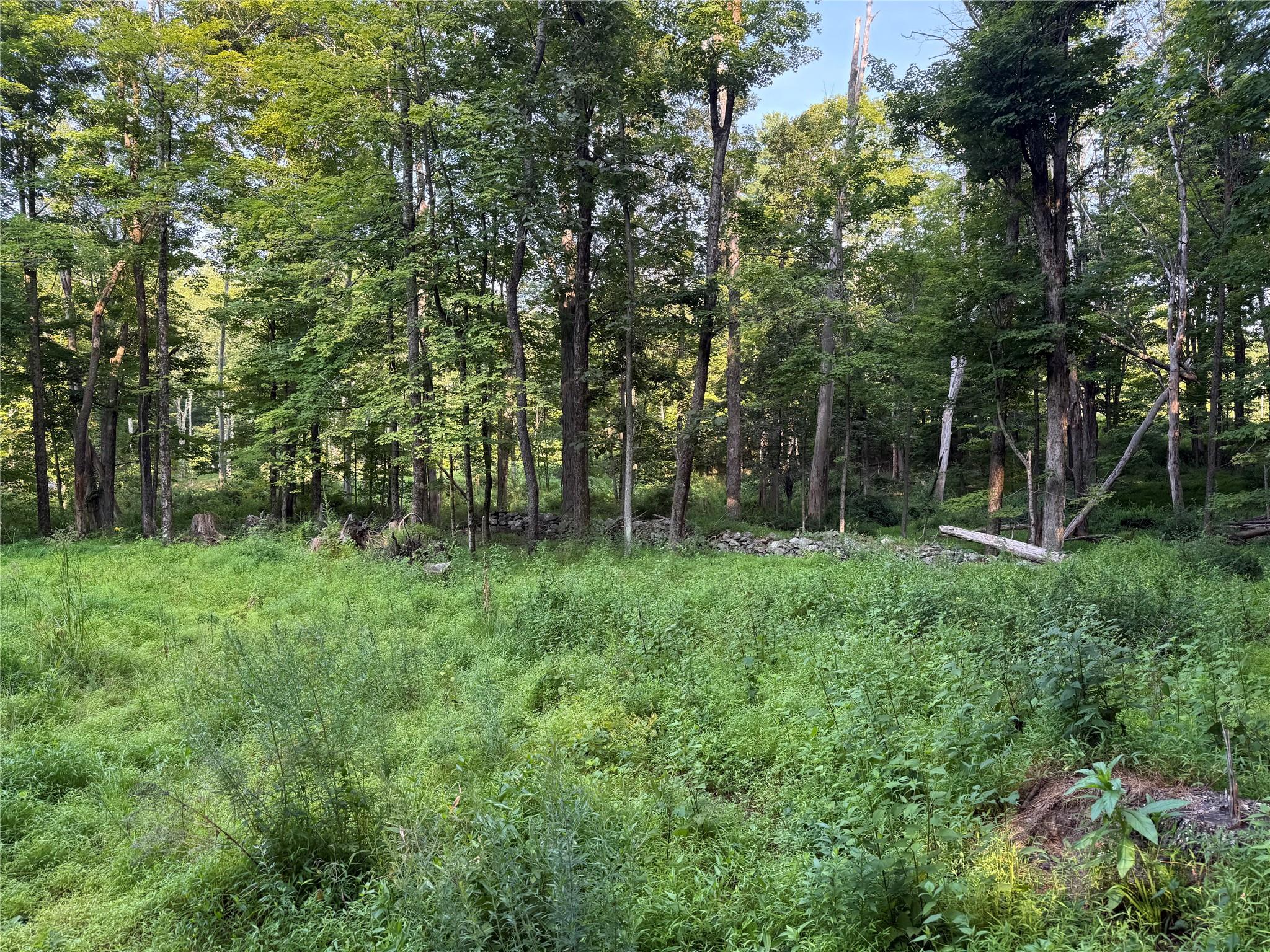 393 County Route 2