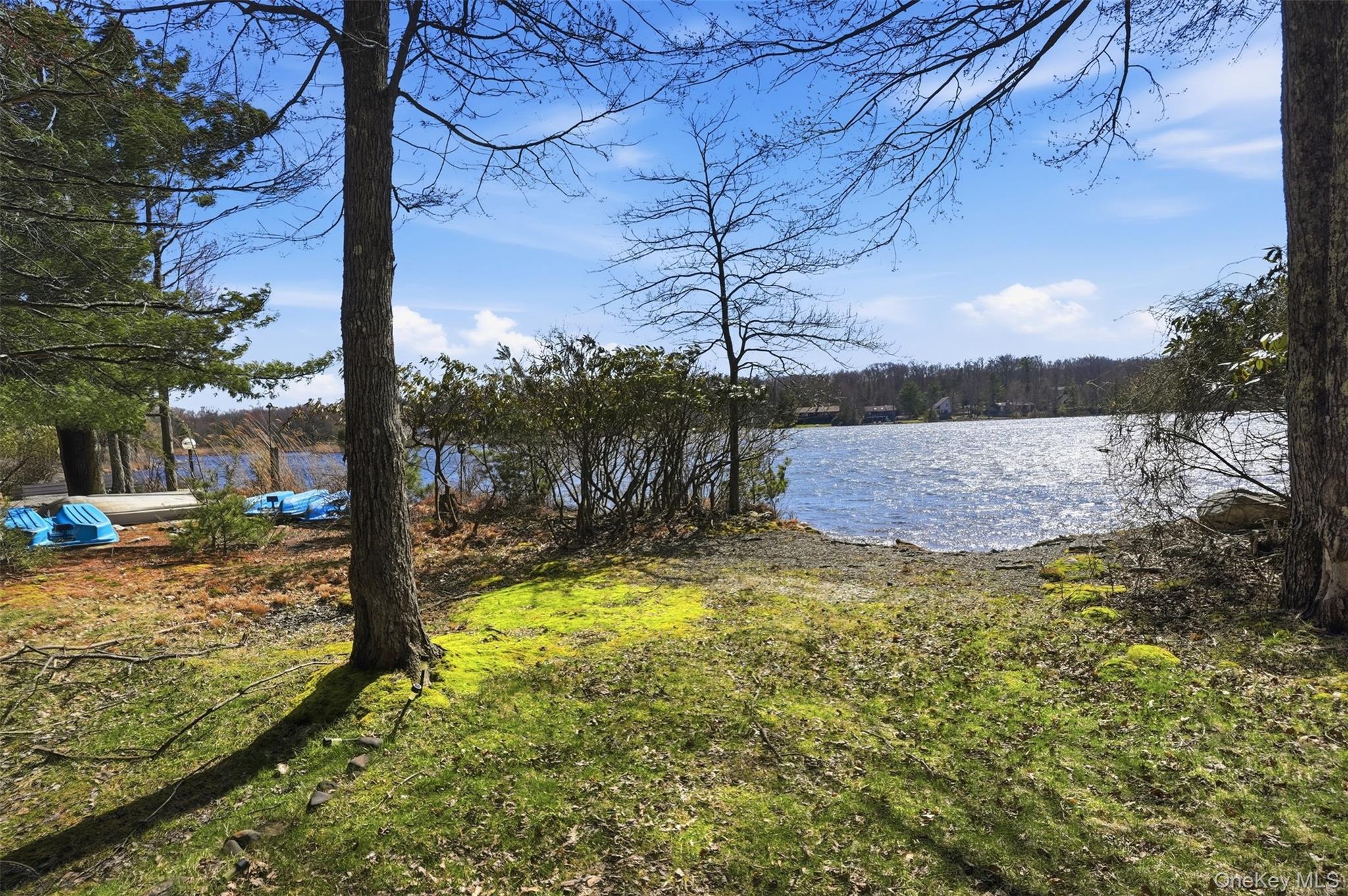 119 Lake Shore Drive W