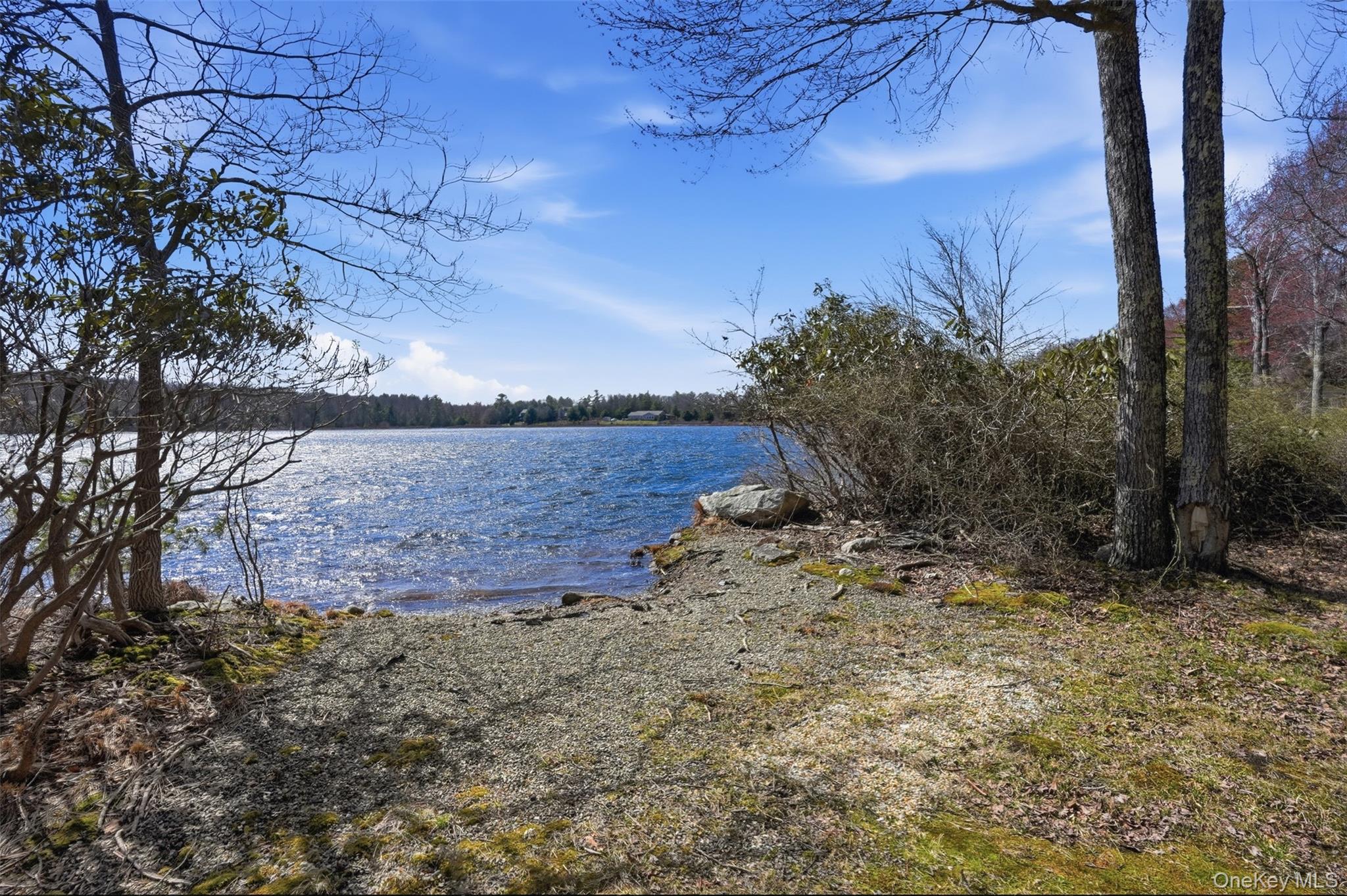 119 Lake Shore Drive W