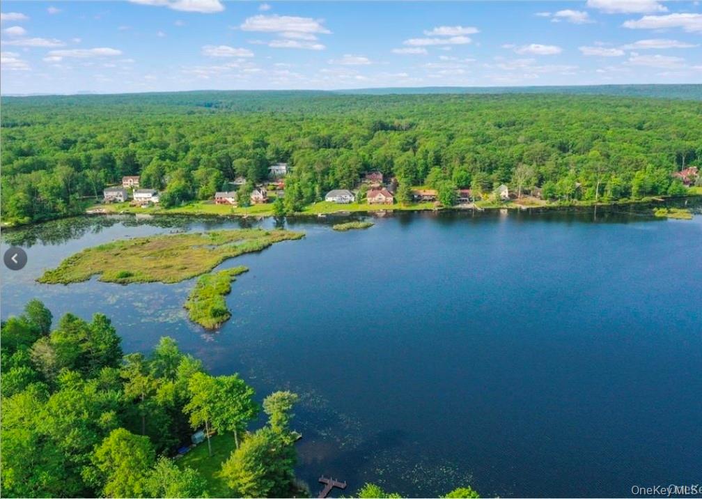 119 Lake Shore Drive W