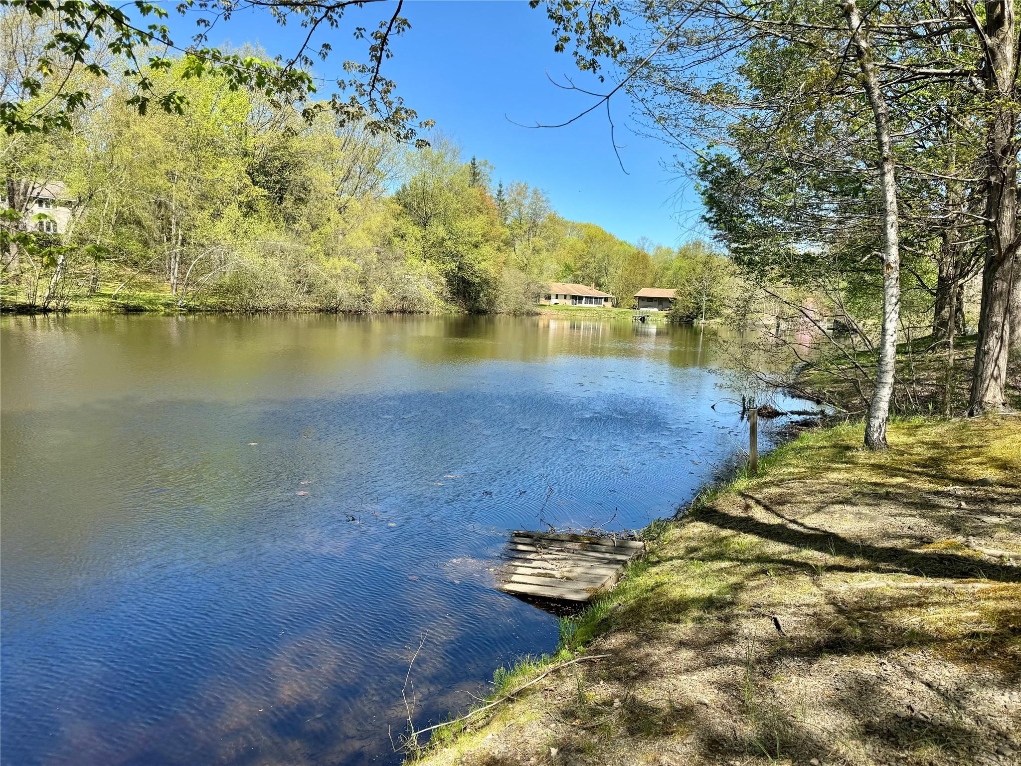 36 Susi Oval, Modena, New York image 4