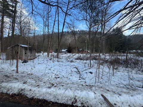 6-8 Grove Street Godeffroy NY 12729