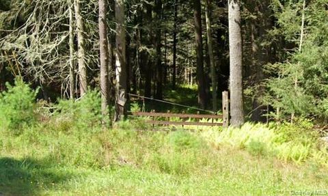 Vacant Land For Sale - 2199 State Route 42<br/> Forestburgh, NY 12777