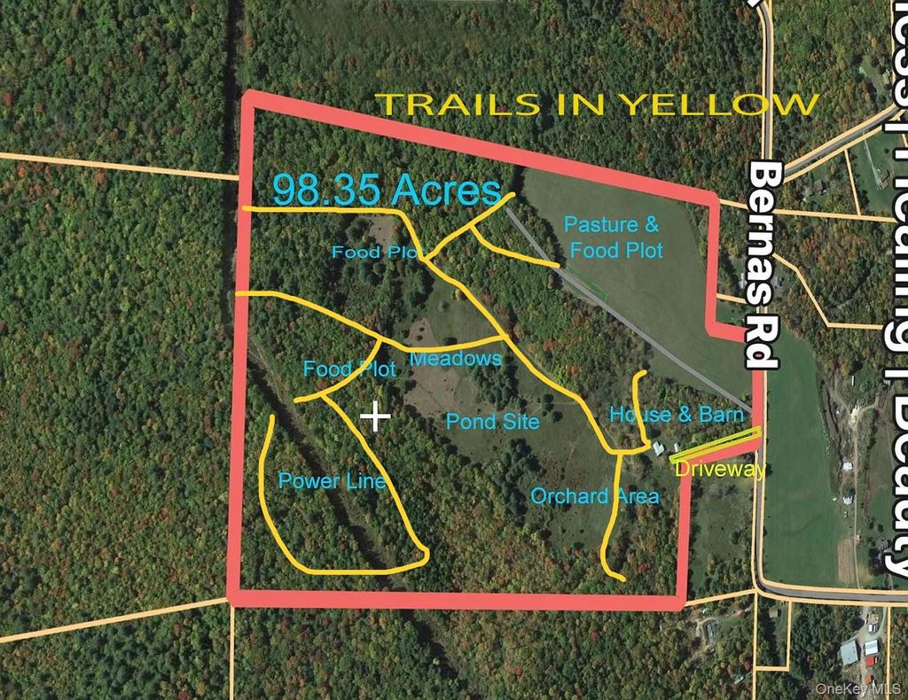 Photo of 342 Bernas Road, Cochecton, NY 12726 (MLS # 965598)