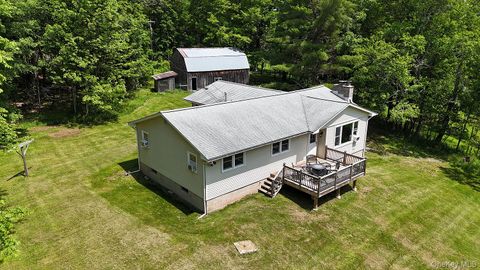 342 Bernas Road Cochecton NY 12726