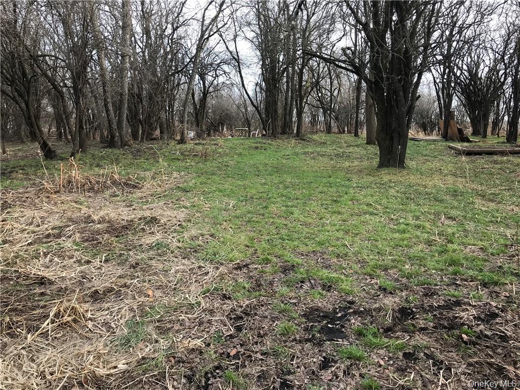 46 Jessup Switch Road