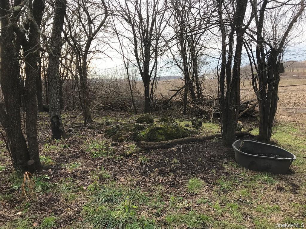 46 Jessup Switch Road