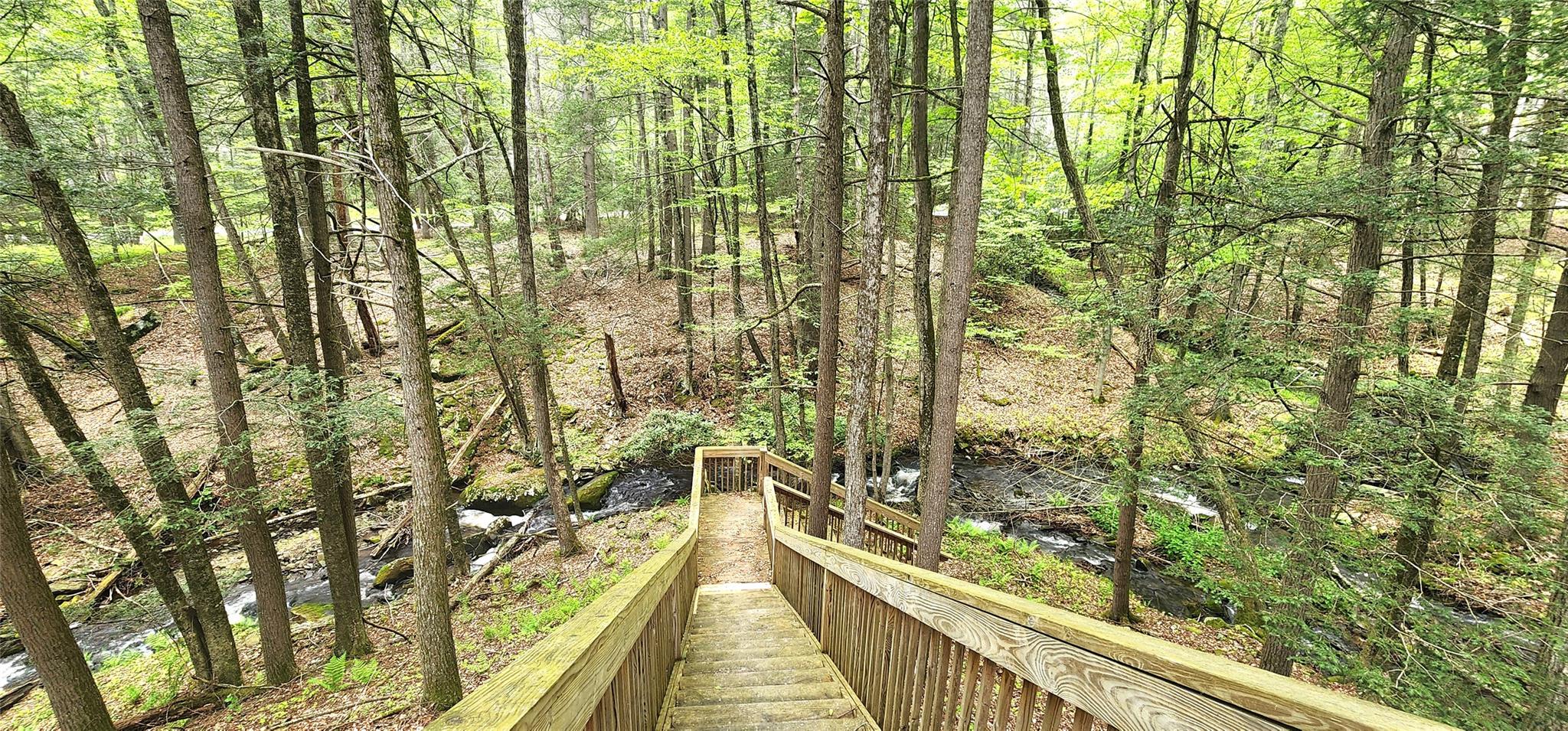 66 Hillside Road, Barryville, New York image 18