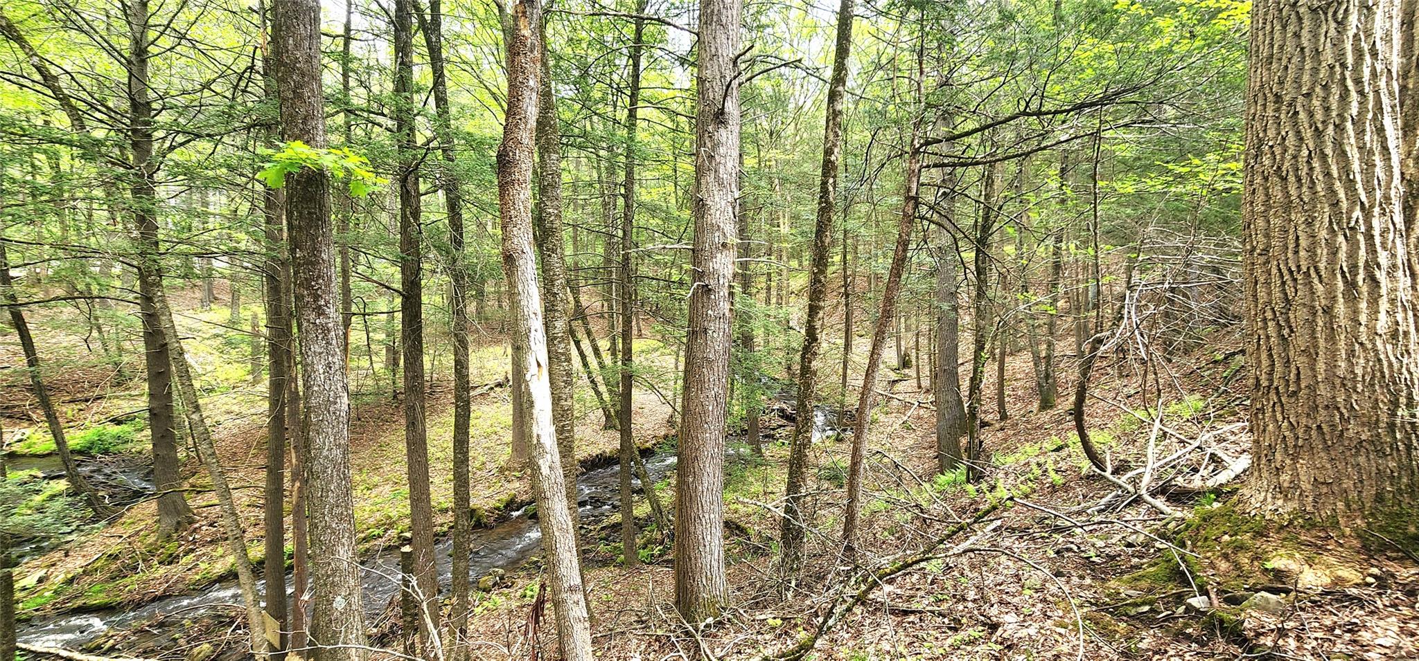 66 Hillside Road, Barryville, New York image 16