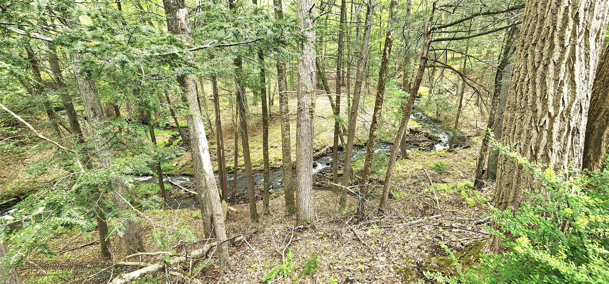 66 Hillside Road, Barryville, New York image 17