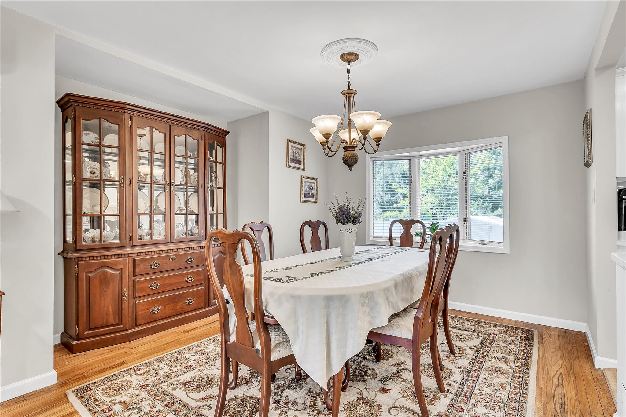 95 Circle Drive, Syosset, New York image 15