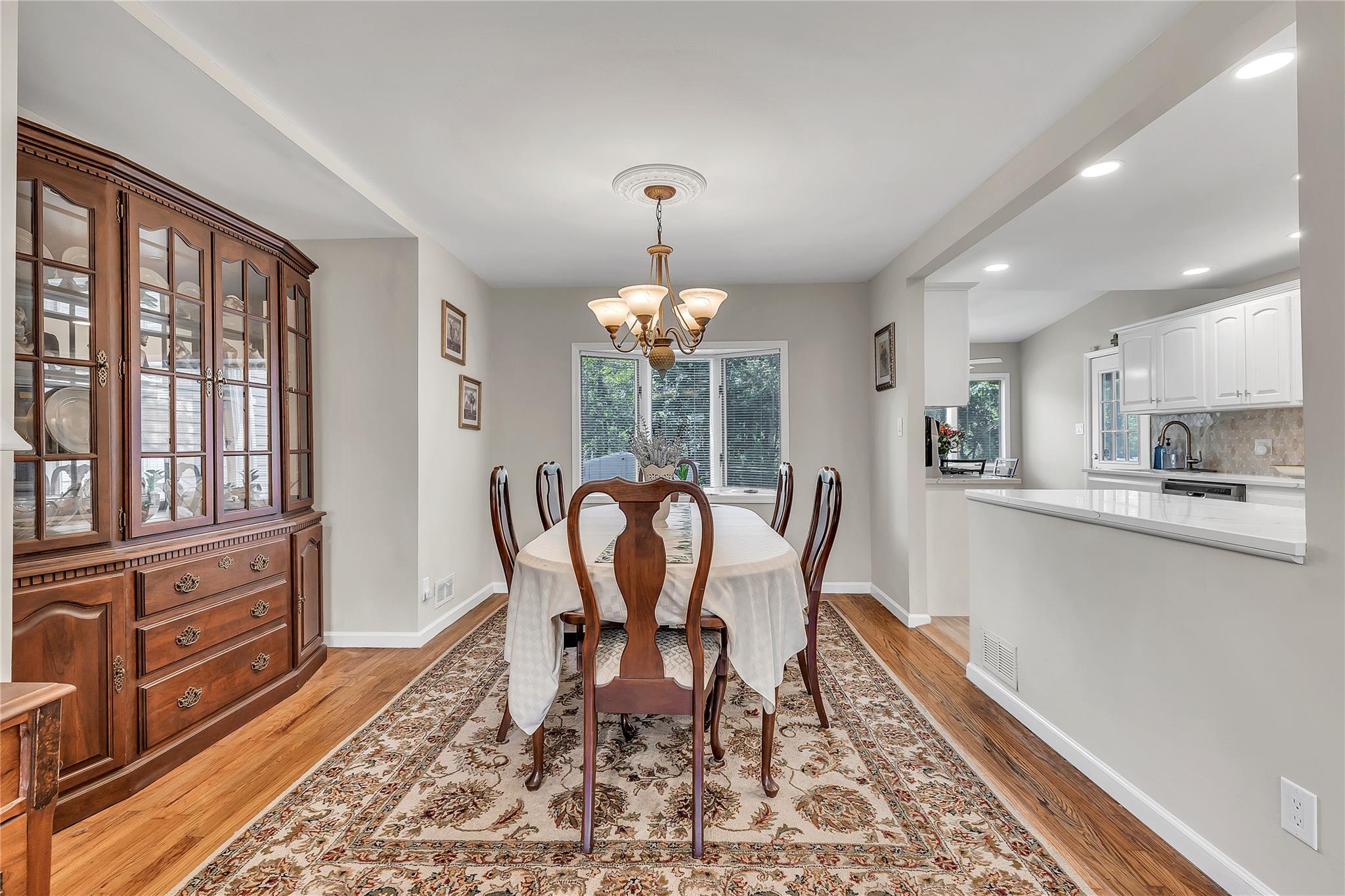 95 Circle Drive, Syosset, New York image 16